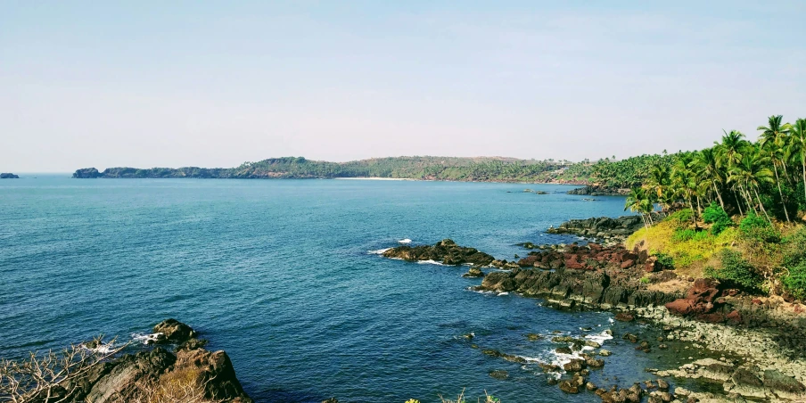 an image of the coast with some rocks and trees