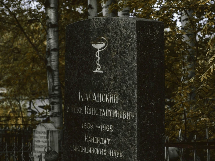 a monument in the middle of a cemetery