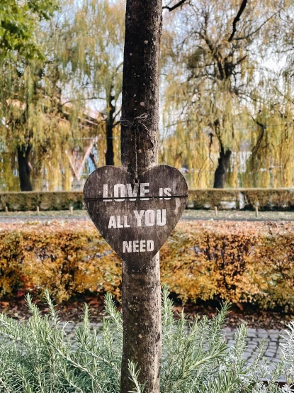 a wooden sign that says love is always need