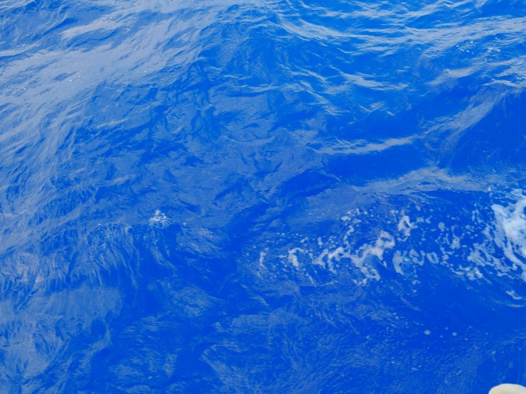 a large ocean wave in the water