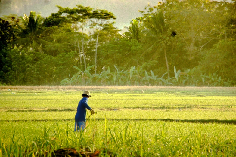 man with hat holding a stick and wearing blue shirt