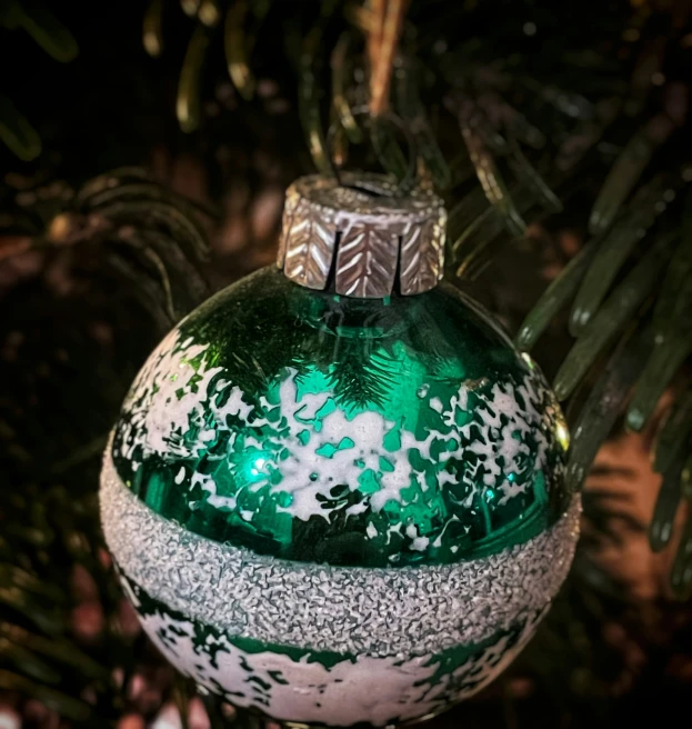 a glass ornament is hanging on a tree