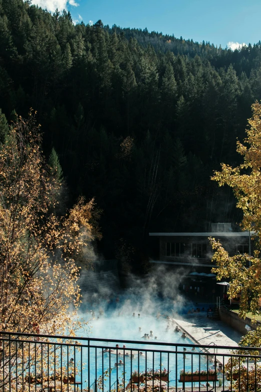  springs and pools surrounded by trees in a forest