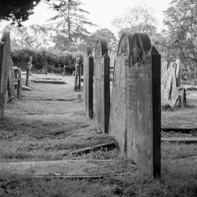 a cemetery in black and white that is surrounded by trees