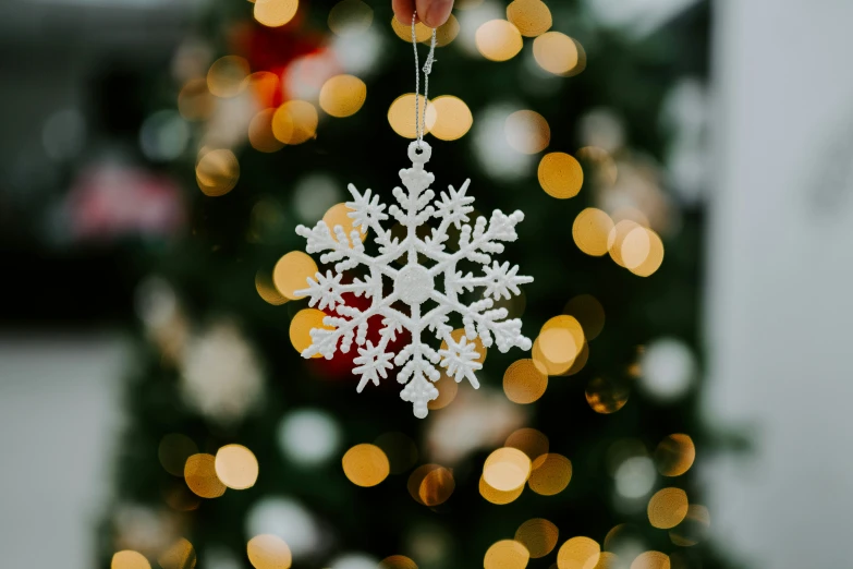 christmas tree and a person holding a snowflake