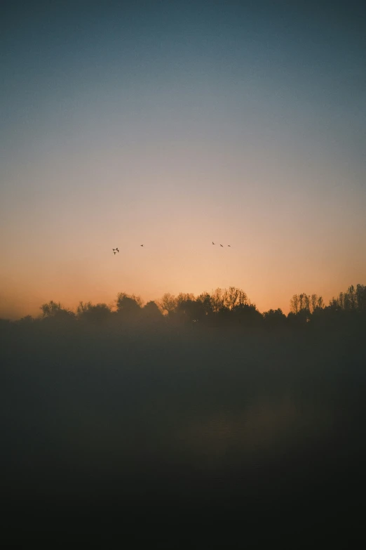 birds fly over a low rise in a foggy sky