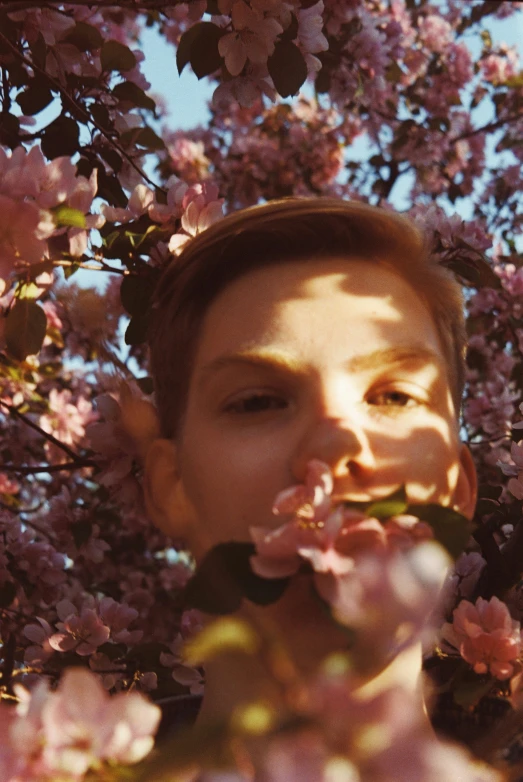 a boy in the sunlight is smelling a flower on a tree