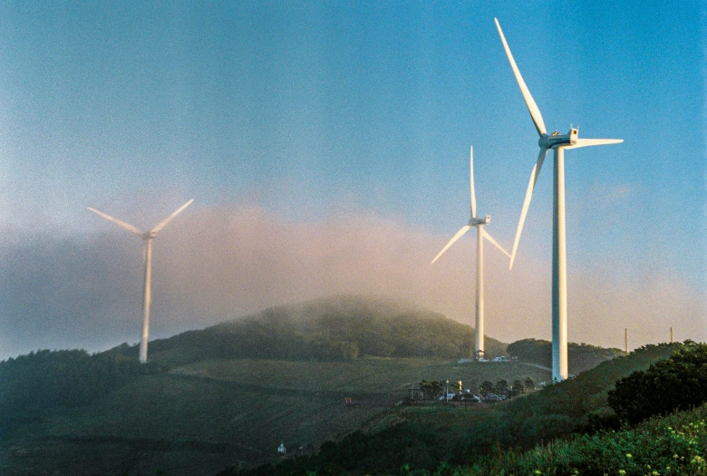 many windmills are standing close together in the fields