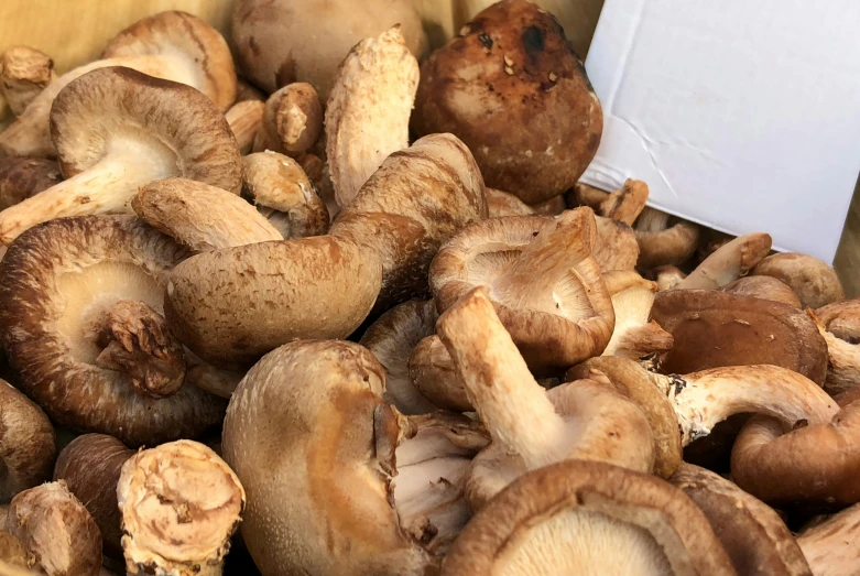 a closeup of several brown mushrooms in the open cardboard box