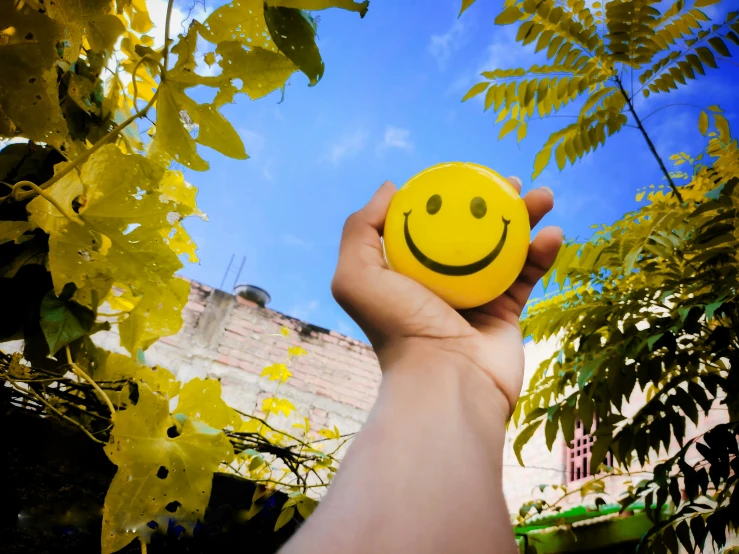 someone is holding a smiley face ball