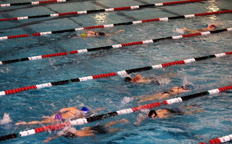 group of swimmers competing in an indoor swimming pool