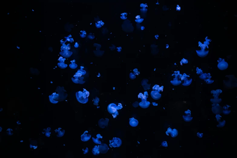 an image of some dark and light blue floating lights