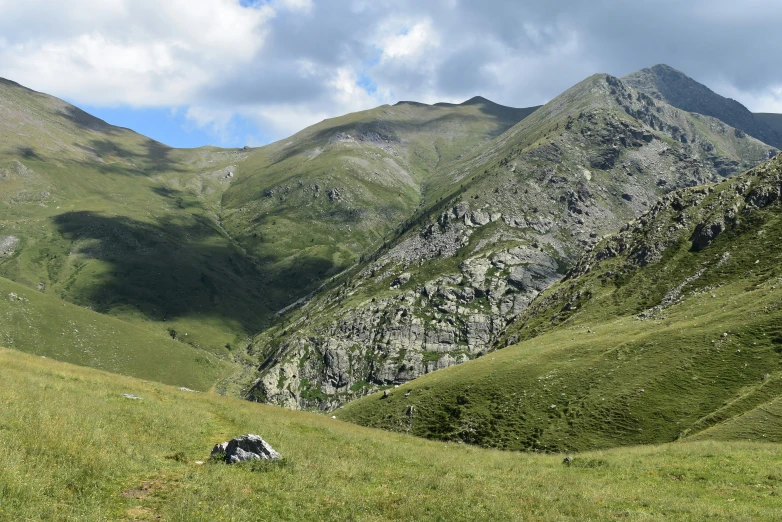 a lush green hillside filled with grass and trees