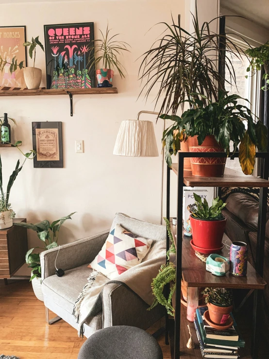 some very nice looking plants on a shelf