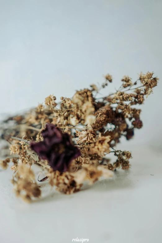 dried flowers sitting on top of a white surface