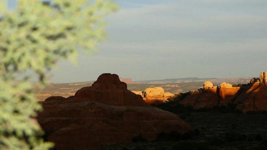 a couple of big rocks sitting next to a forest