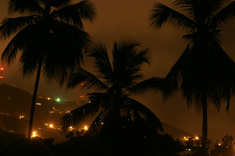 the view of palm trees and lights from inside a building