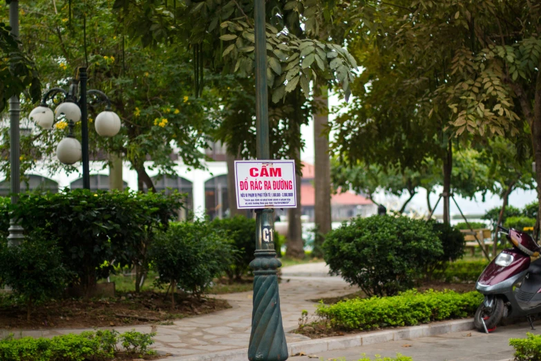 a sign with the name sam's bar on it is near a lamp post in the yard