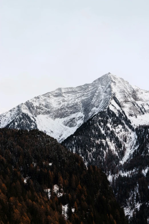 the mountain range has lots of trees in it