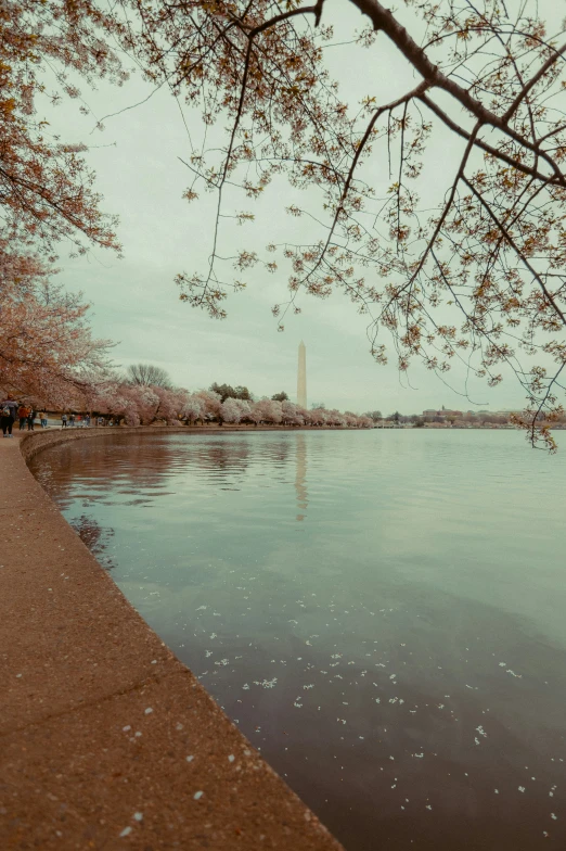 a person sitting in a bench next to a body of water