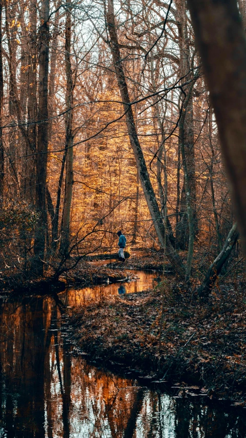 a man fishing in a small creek surrounded by trees