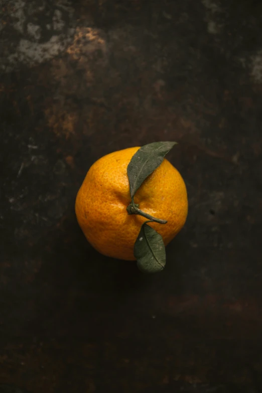 an orange with some leaves on it