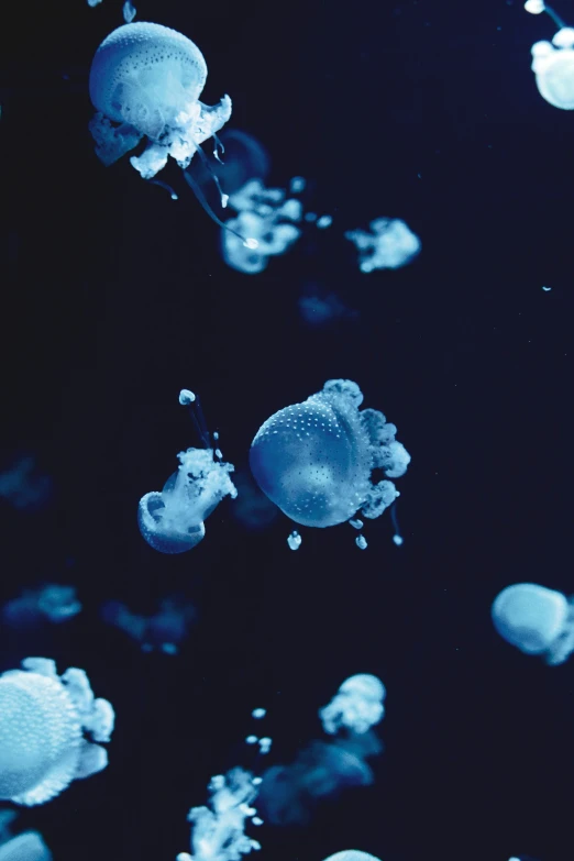 blue ink is seen floating in the water