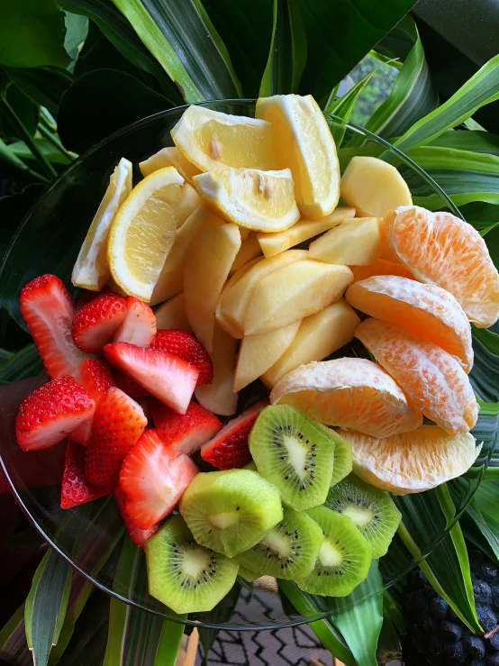 a bowl of fruit cut up into pieces