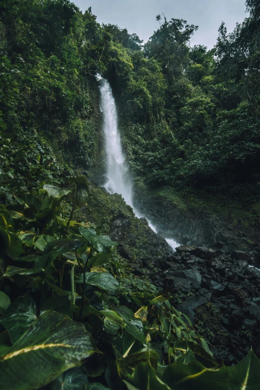 the waterfall looks like it has a lot of water