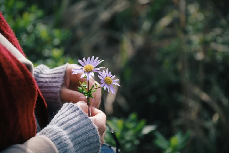 a woman is holding a small purple flower