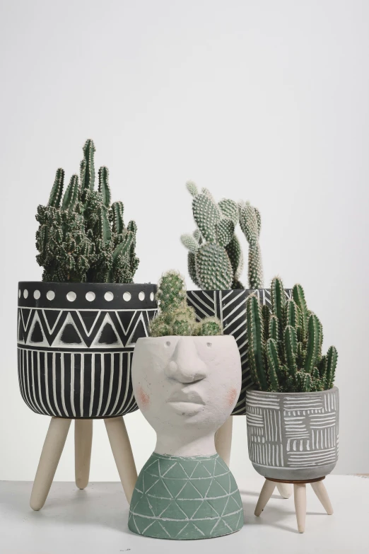 a set of three cactus planters sitting on top of a table