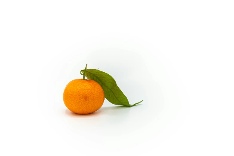 an orange with a leaf sitting on a table