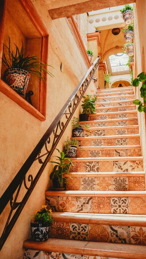 a set of stairs that have a potted plant on top