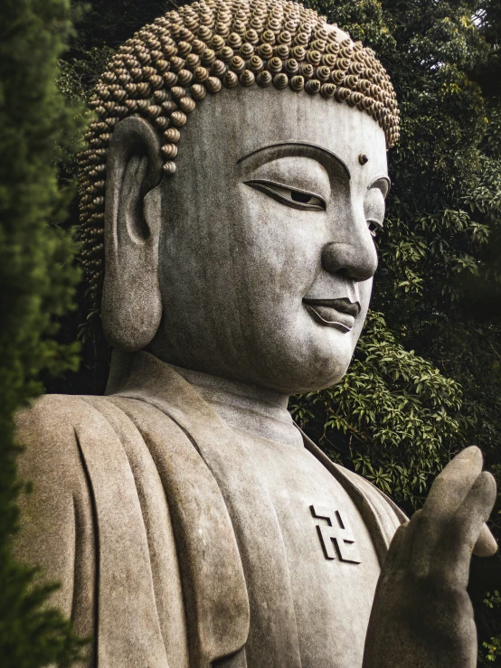 an image of a buddha statue in front of trees