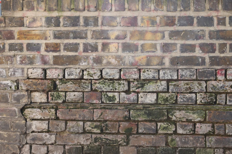 a brick wall that has moss growing on it