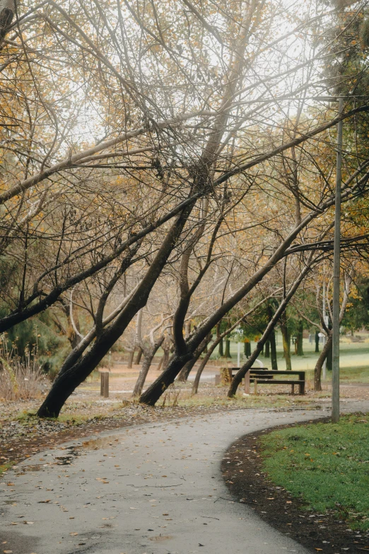 the pathway has a bench at each end on the side