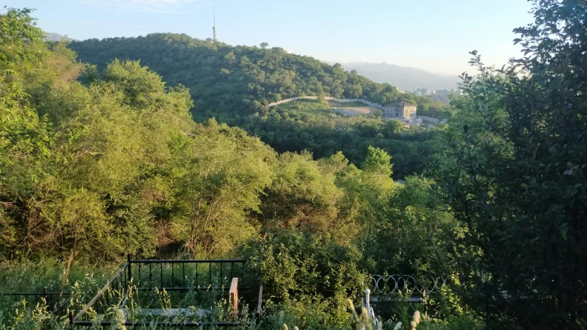 the green hills of an area near a forest