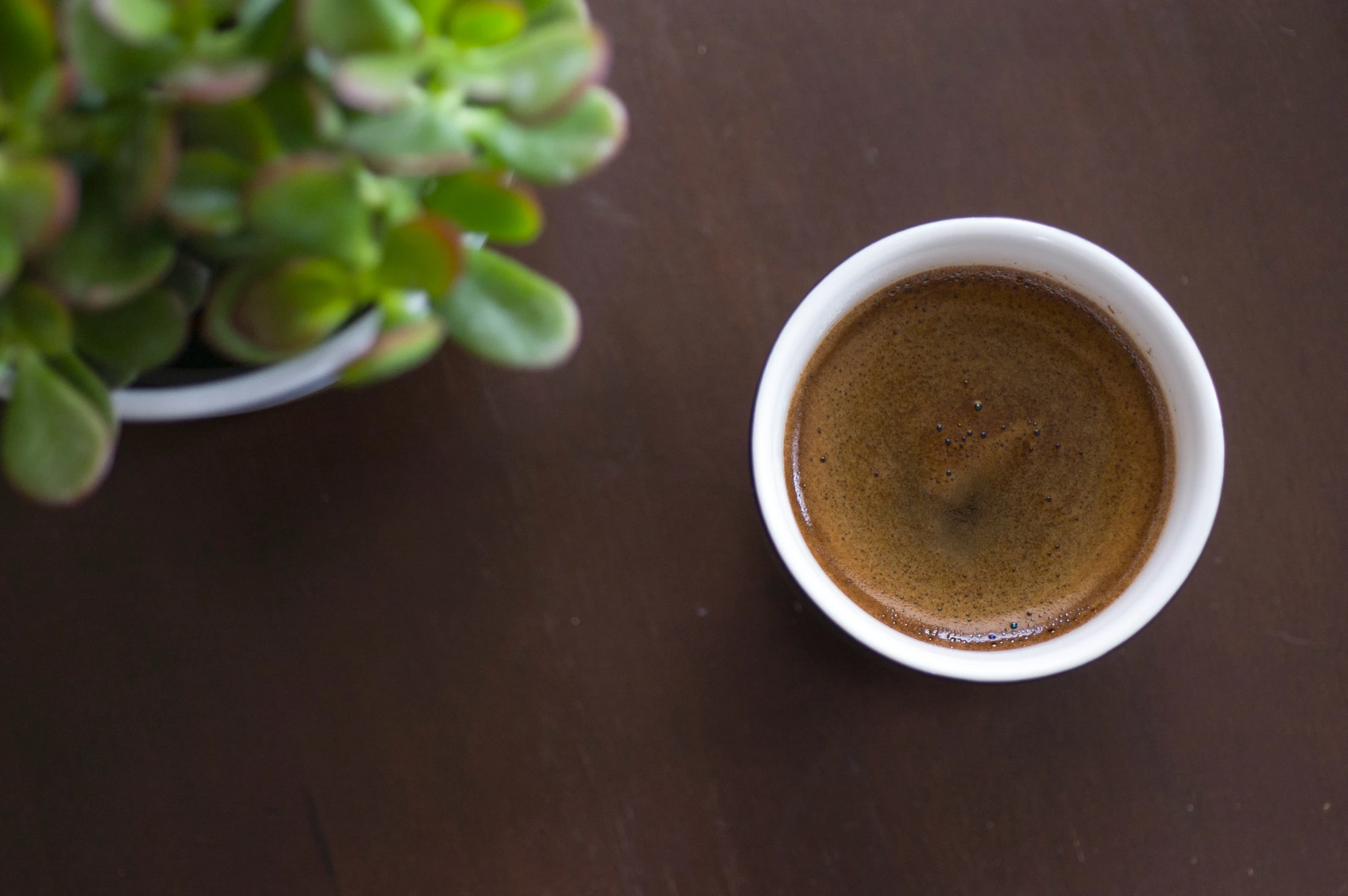 a cup of coffee is set next to a potted plant