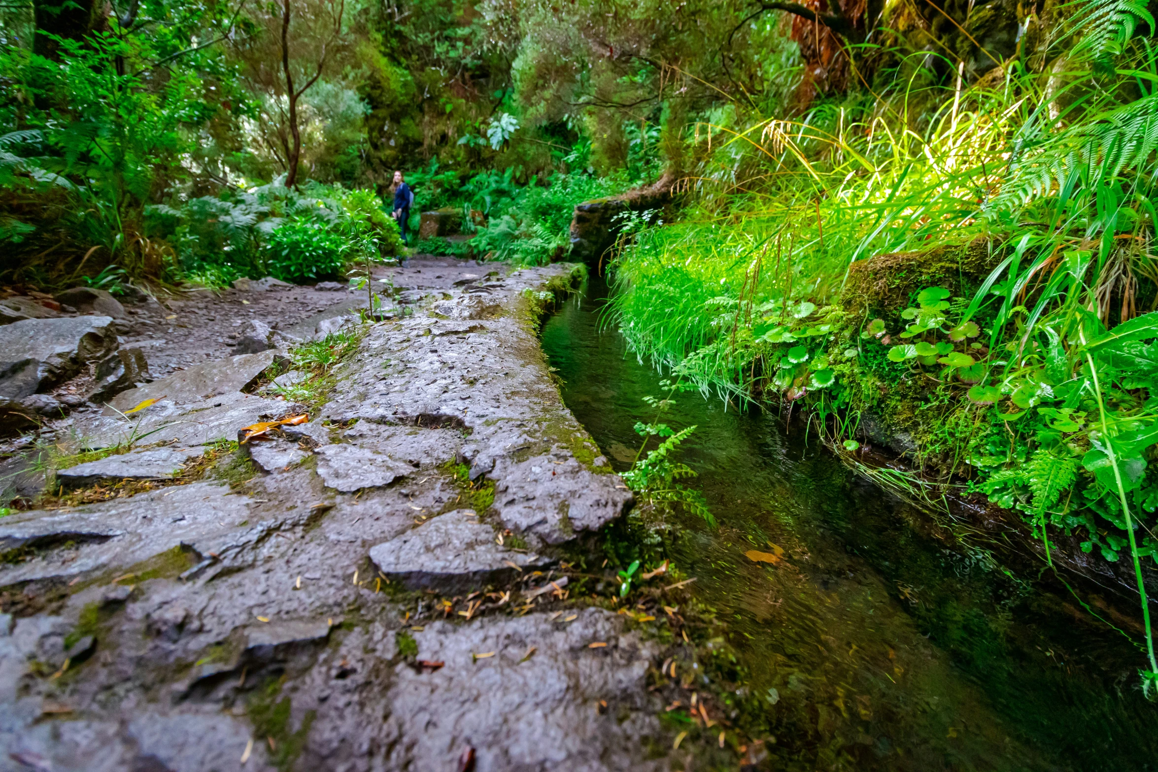 a woman walks up and down a dirt path in the middle of the woods