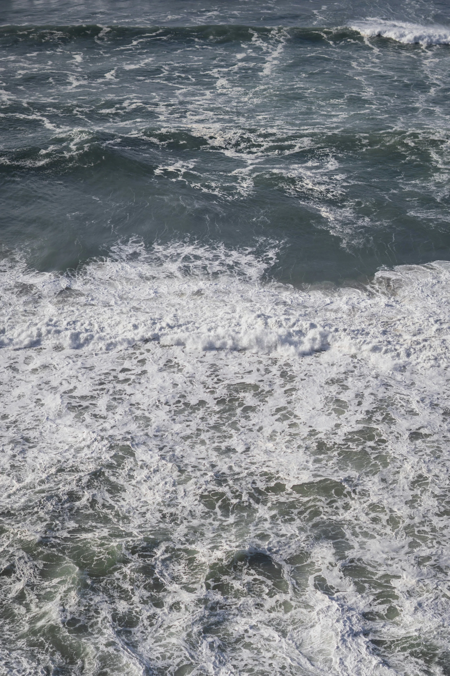 a white animal standing in some choppy water