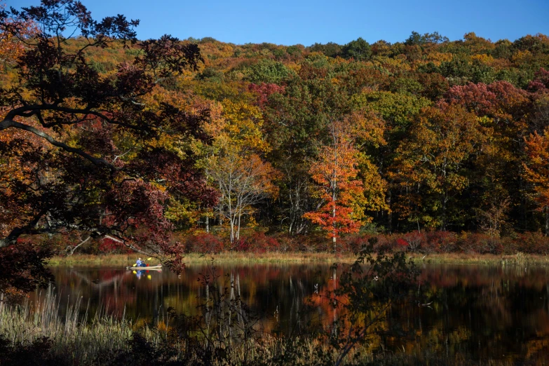 a calm lake surrounded by a forest in autumn