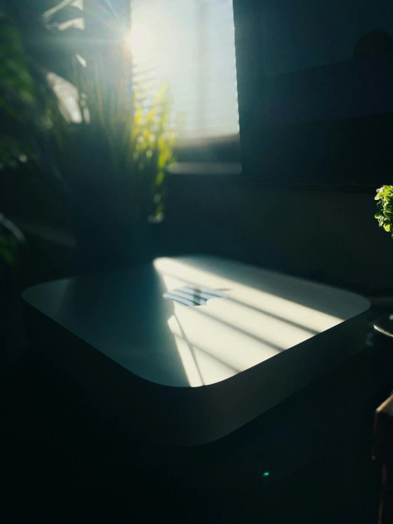 the sun is shining on the table and a small plant