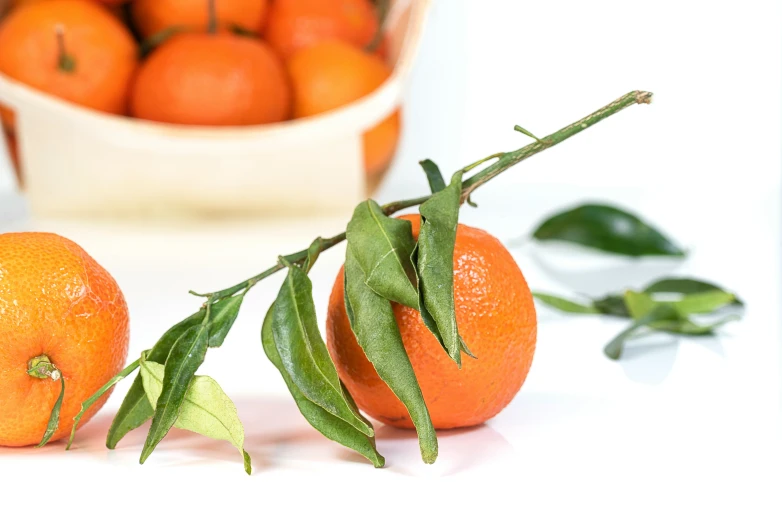 a group of oranges sitting on top of a table