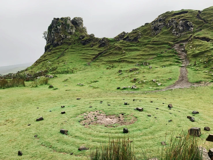 several rocks in the grass near each other