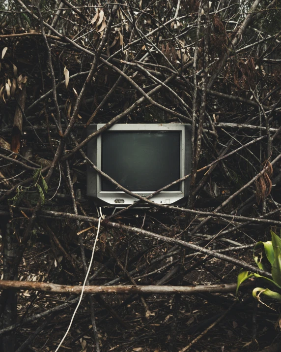 an old computer in the forest with nches around it