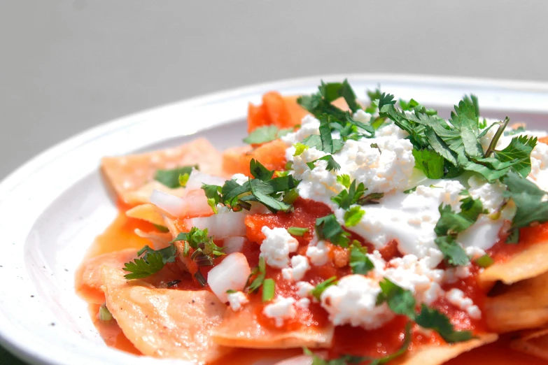 a plate of tortilla with tomato sauce, cheese and parsley