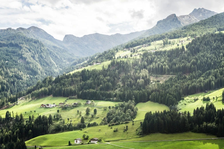 view of mountain area with many green fields