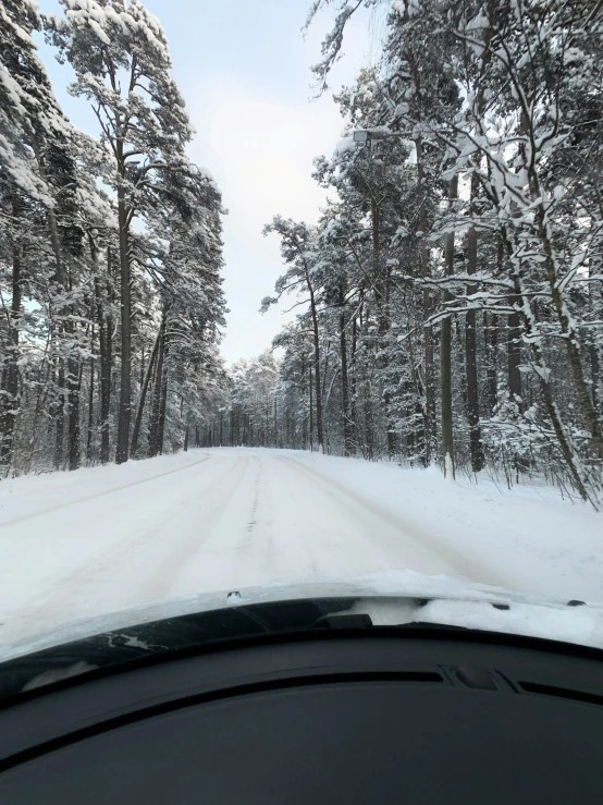 snow on the ground in front of trees and cars