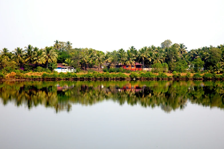 a lake with trees in the background