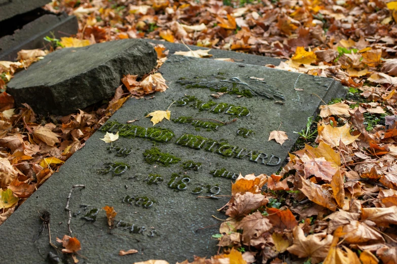 a stone memorial with writing in all the letters on it and scattered leaves